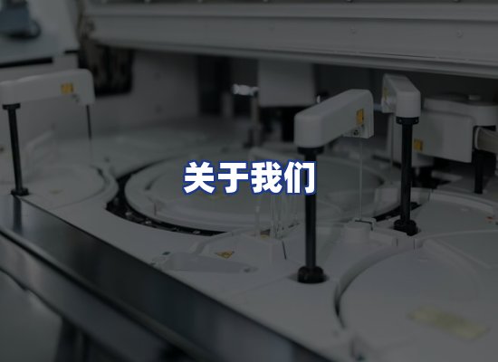 专业团队
